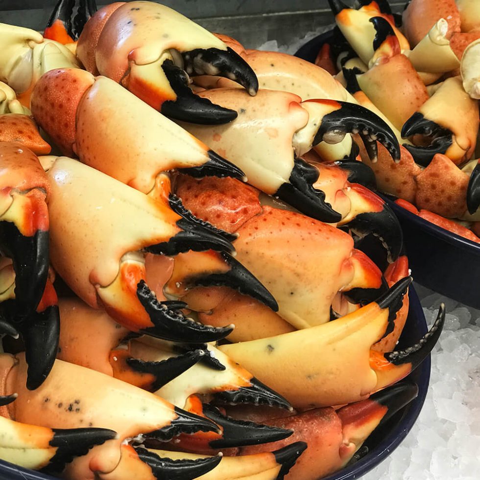 Stone Crab Festival 2020 Dunedin Stone Crab Festival